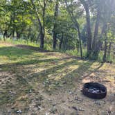 Review photo of The Ole Cornfield by Sandra&Dunn , September 17, 2020