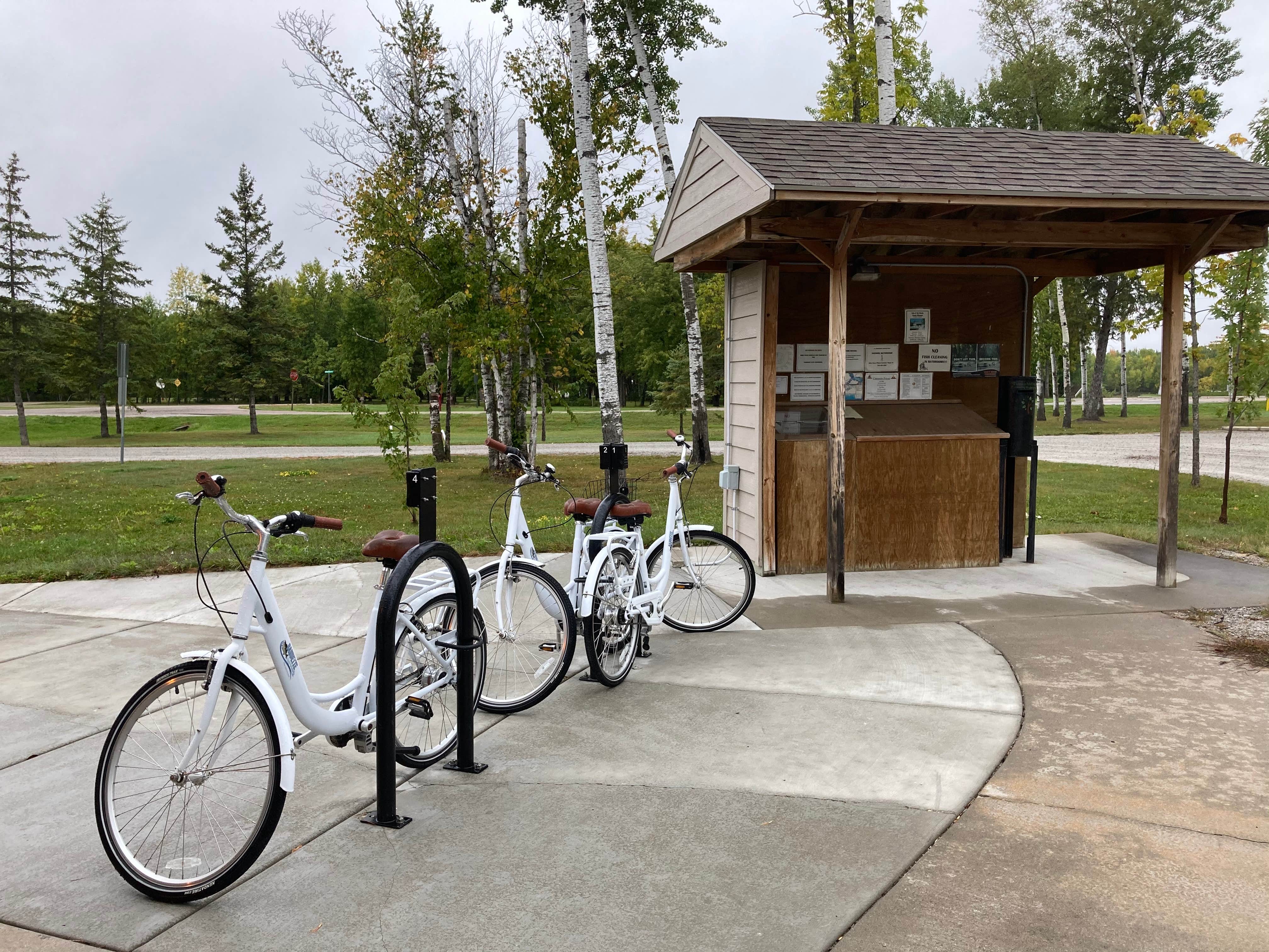 Camper-submitted photo at Timber Mill RV Park near Birchdale, MN