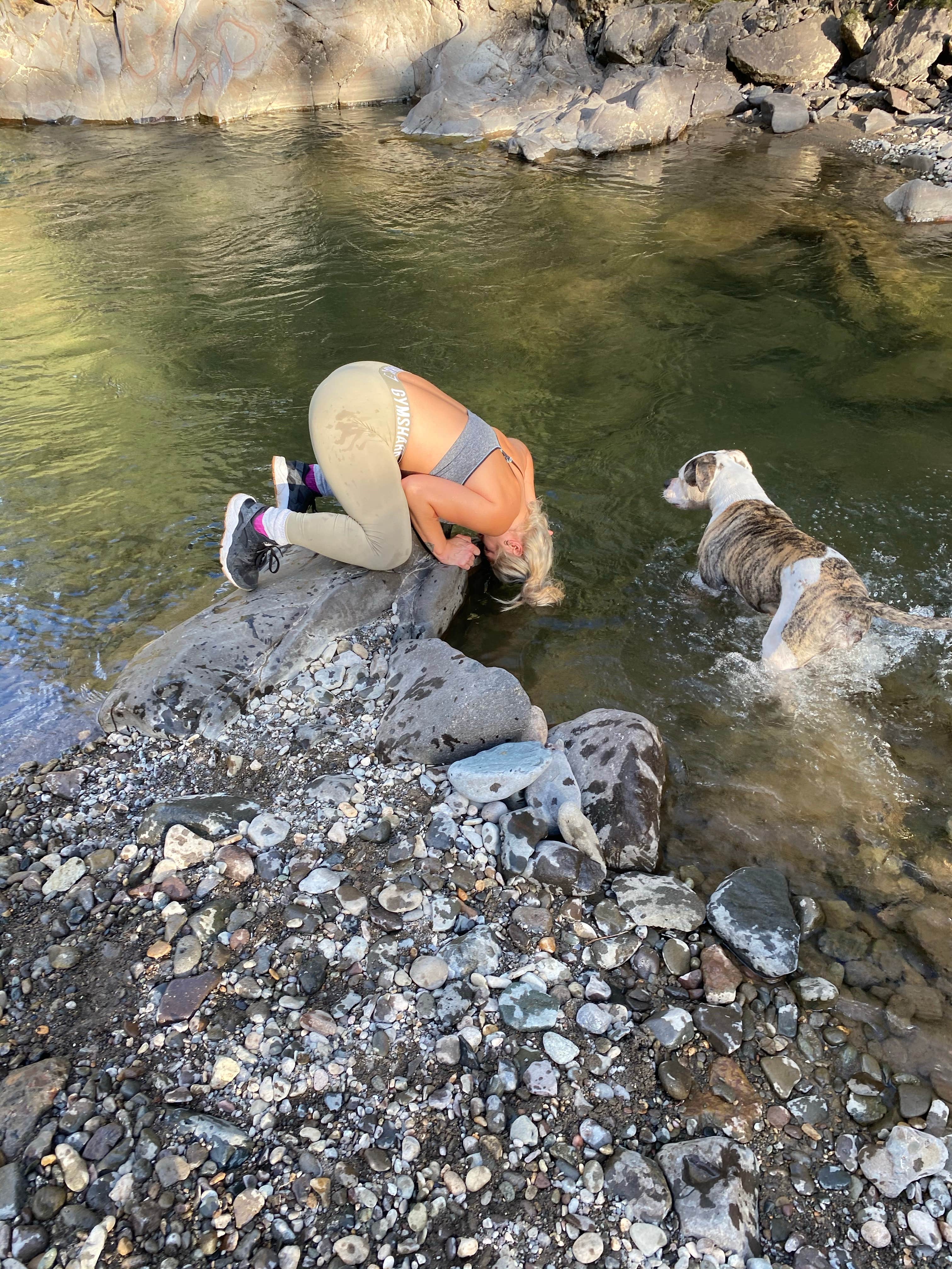 Nicollette's photo of camping with pets at East Fork Campground near Pagosa Springs, CO