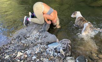 Nicollette's photo of camping with pets at East Fork Campground near Pagosa Springs, CO