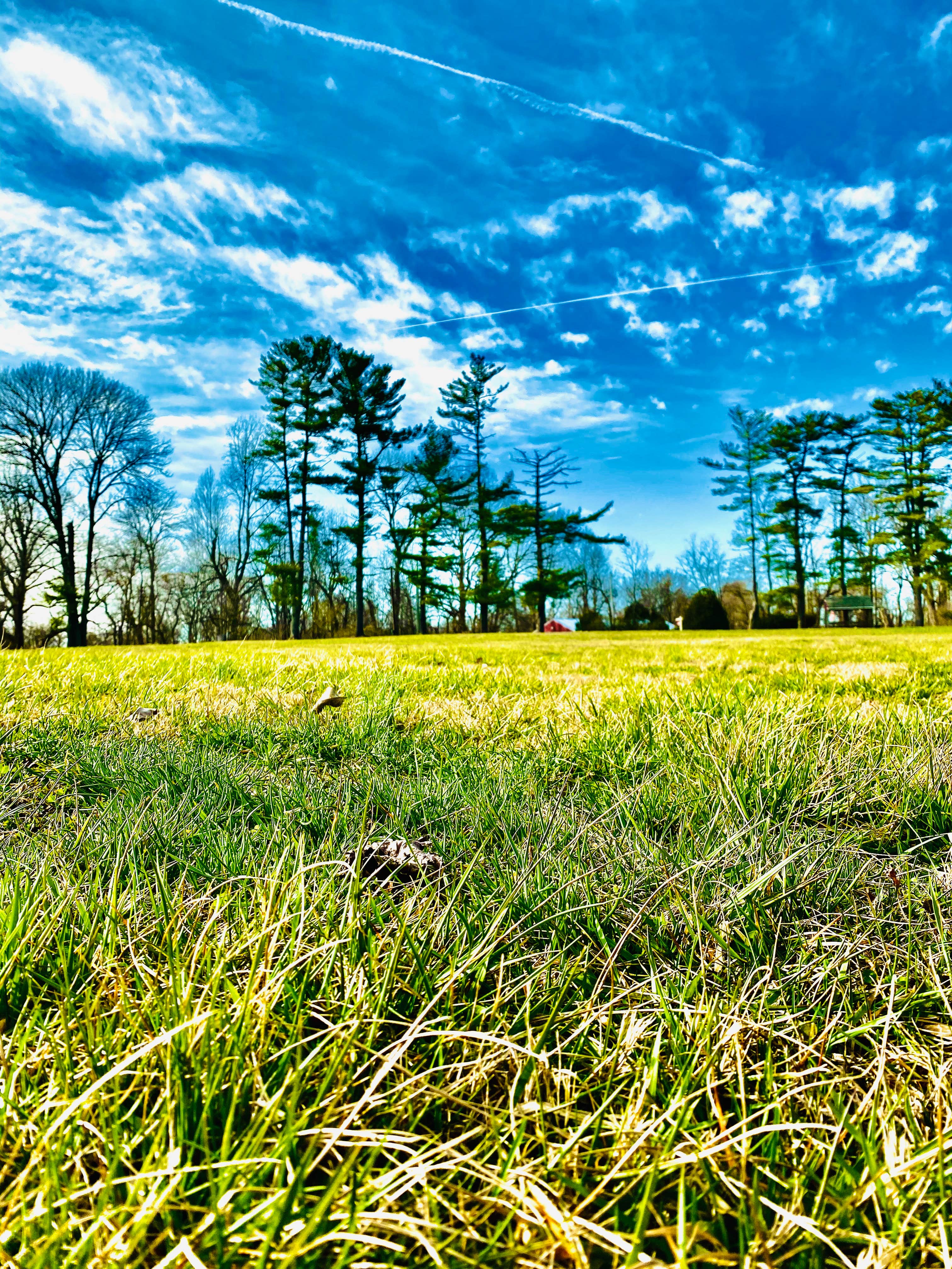 Camper-submitted photo at Camp Ramblewood near Bel Air, MD