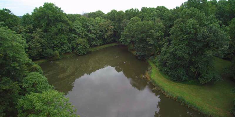 Camper submitted image from Camp Ramblewood