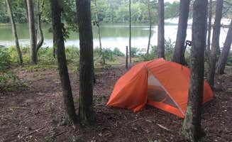 Ben S.'s photo at Lake Curriher Wilderness near Harrisburg, NC