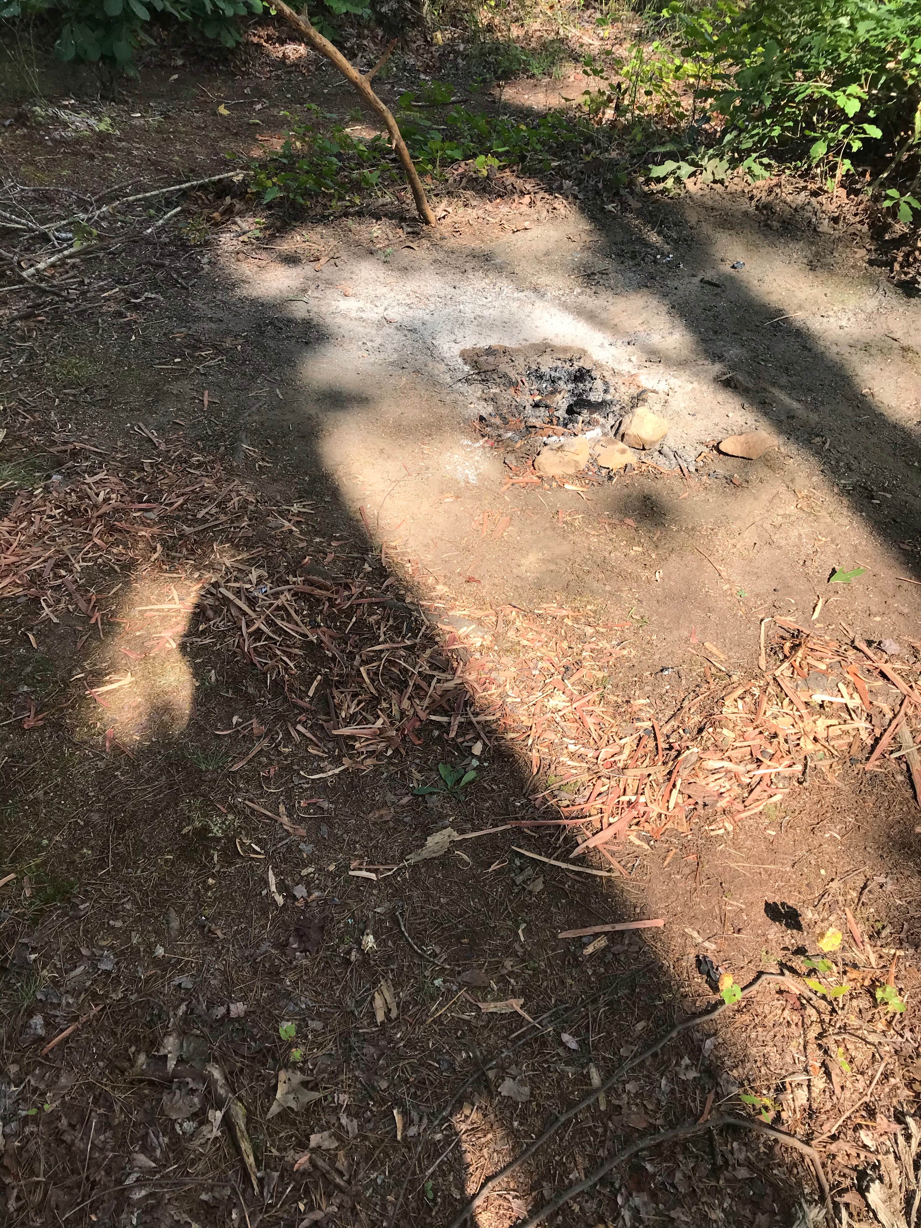 Camper-submitted photo at Lake Curriher Wilderness near Davidson, NC