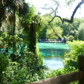 Review photo of Rainbow Springs State Park Campground by Theresa K., May 17, 2018