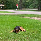 Review photo of Geneva State Park Campground by Tessa M., September 17, 2020