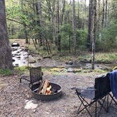 Review photo of Elkmont Campground — Great Smoky Mountains National Park by Ken , September 17, 2020