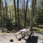Review photo of Elkmont Campground — Great Smoky Mountains National Park by Ken , September 17, 2020