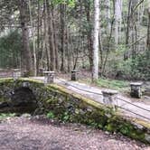 Review photo of Elkmont Campground — Great Smoky Mountains National Park by Ken , September 17, 2020