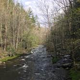 Review photo of Elkmont Campground — Great Smoky Mountains National Park by Ken , September 17, 2020