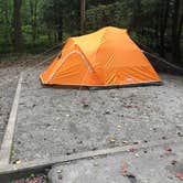 Review photo of Davidson River Campground by Micah K., September 17, 2020