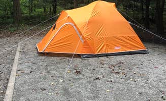 Micah K.'s photo at Davidson River Campground near Horse Shoe, NC