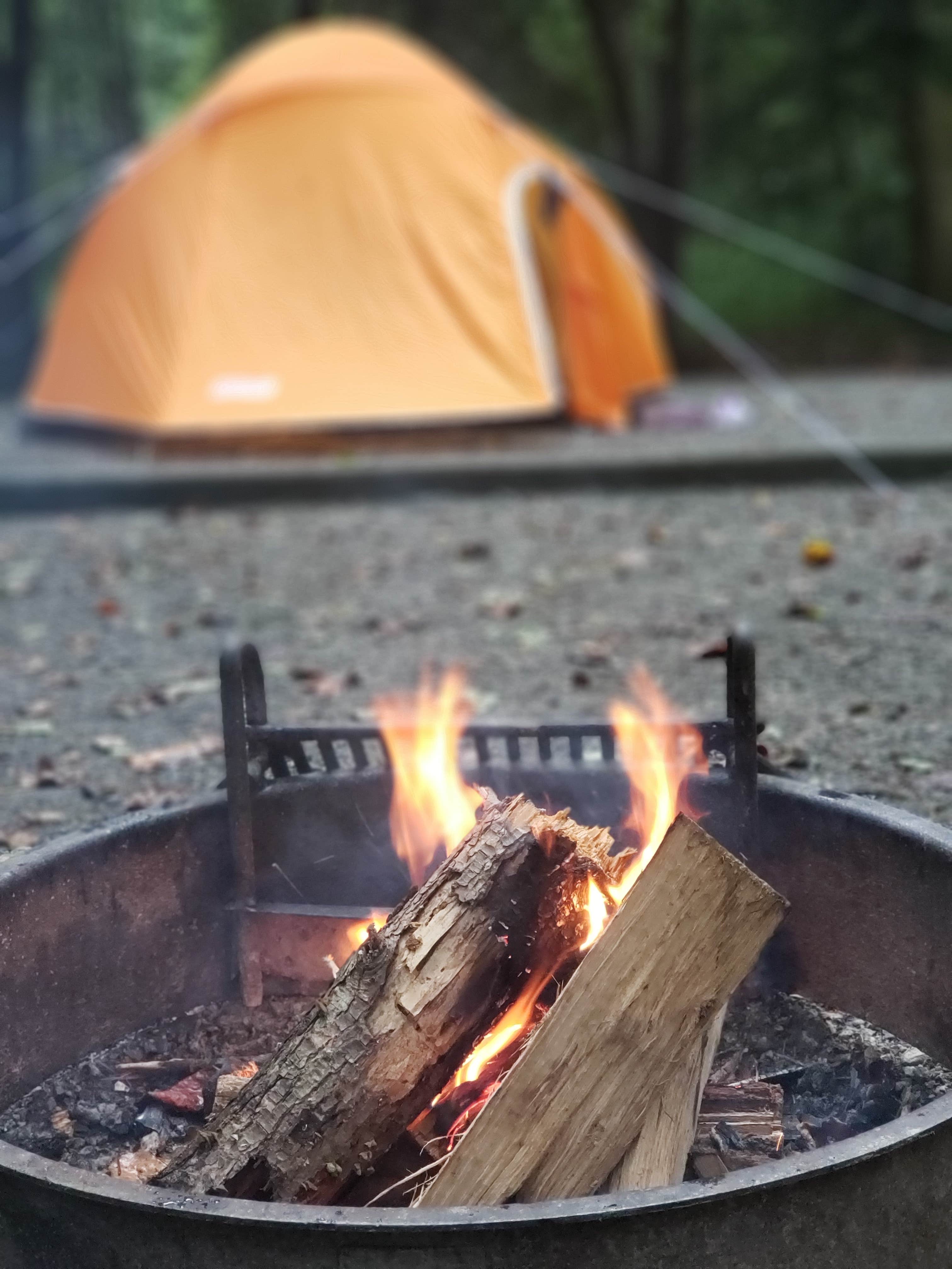 Micah K.'s photo at Davidson River Campground near Horse Shoe, NC