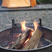 Review photo of Davidson River Campground by Micah K., September 17, 2020