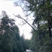 Review photo of Davidson River Campground by Micah K., September 17, 2020