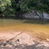 Review photo of Davidson River Campground by Micah K., September 17, 2020