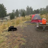 Review photo of Mammoth Campground — Yellowstone National Park by Hannah , September 17, 2020