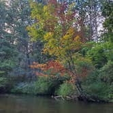 Review photo of Silver Creek State Forest Campground by Mike B., September 17, 2020