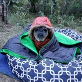 Review photo of June Lake Campground by Josie P., May 17, 2018