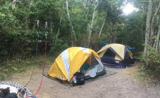 Josie P.'s photo of camping with pets at June Lake Campground near Mammoth Lakes, CA