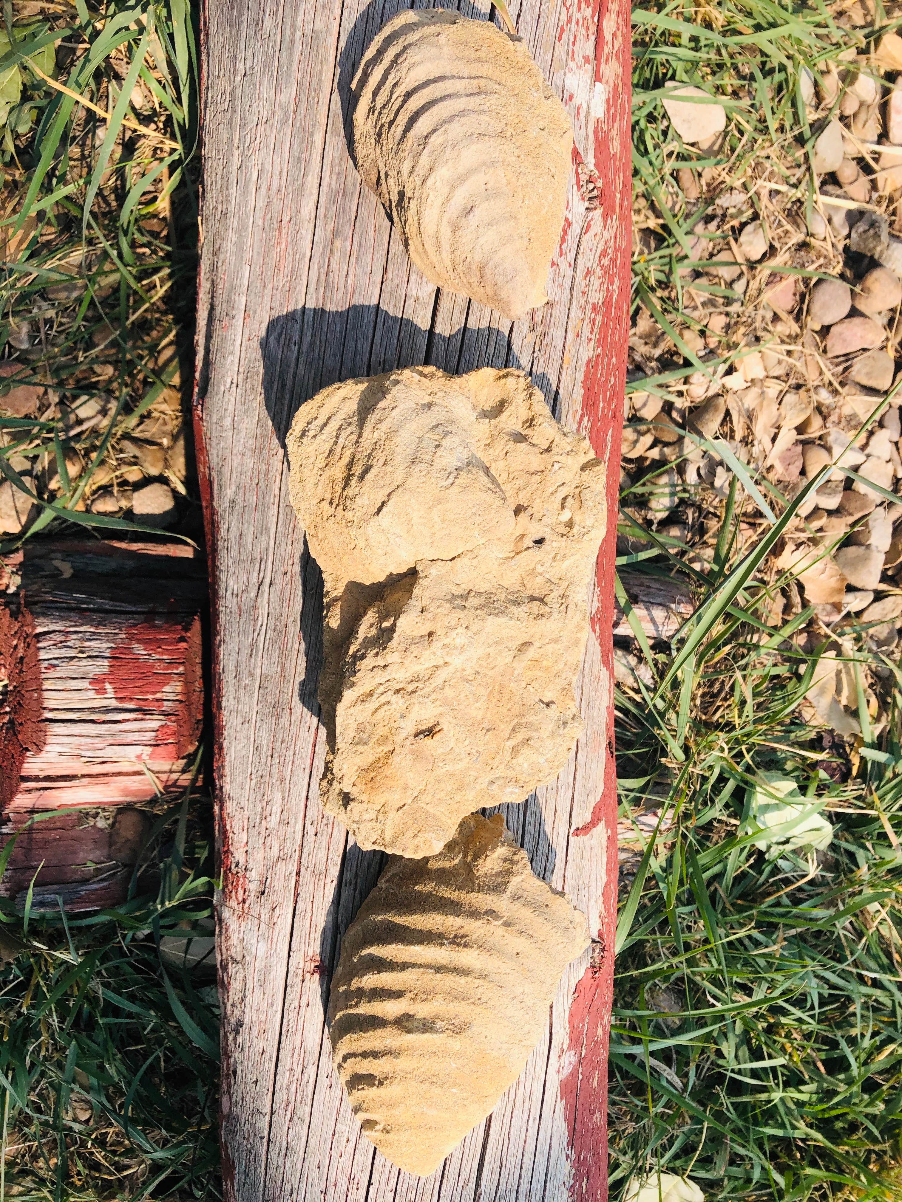 Camping near Kemmerer Tent Park: Riverside RV Park, Kemmerer, Wyoming