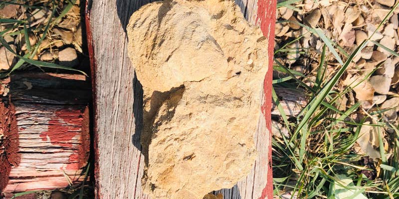 Camper submitted image from Riverside RV Park