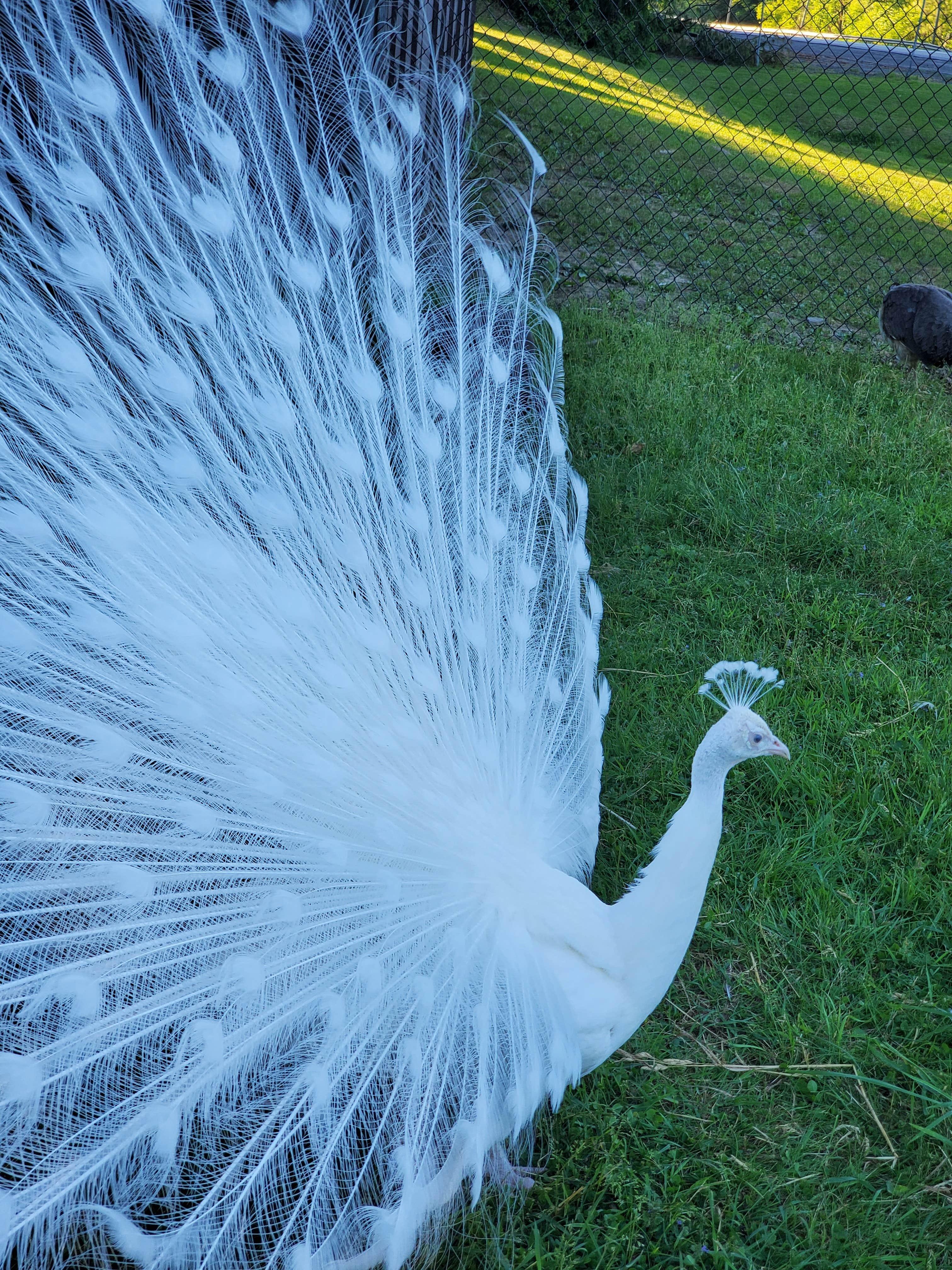 Camper-submitted photo at Three Valley Resort near Java Center, NY