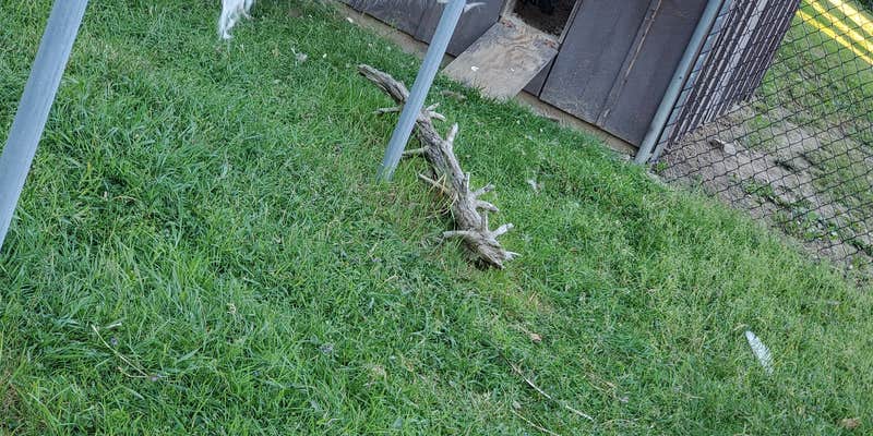 Camper submitted image from Three Valley Resort