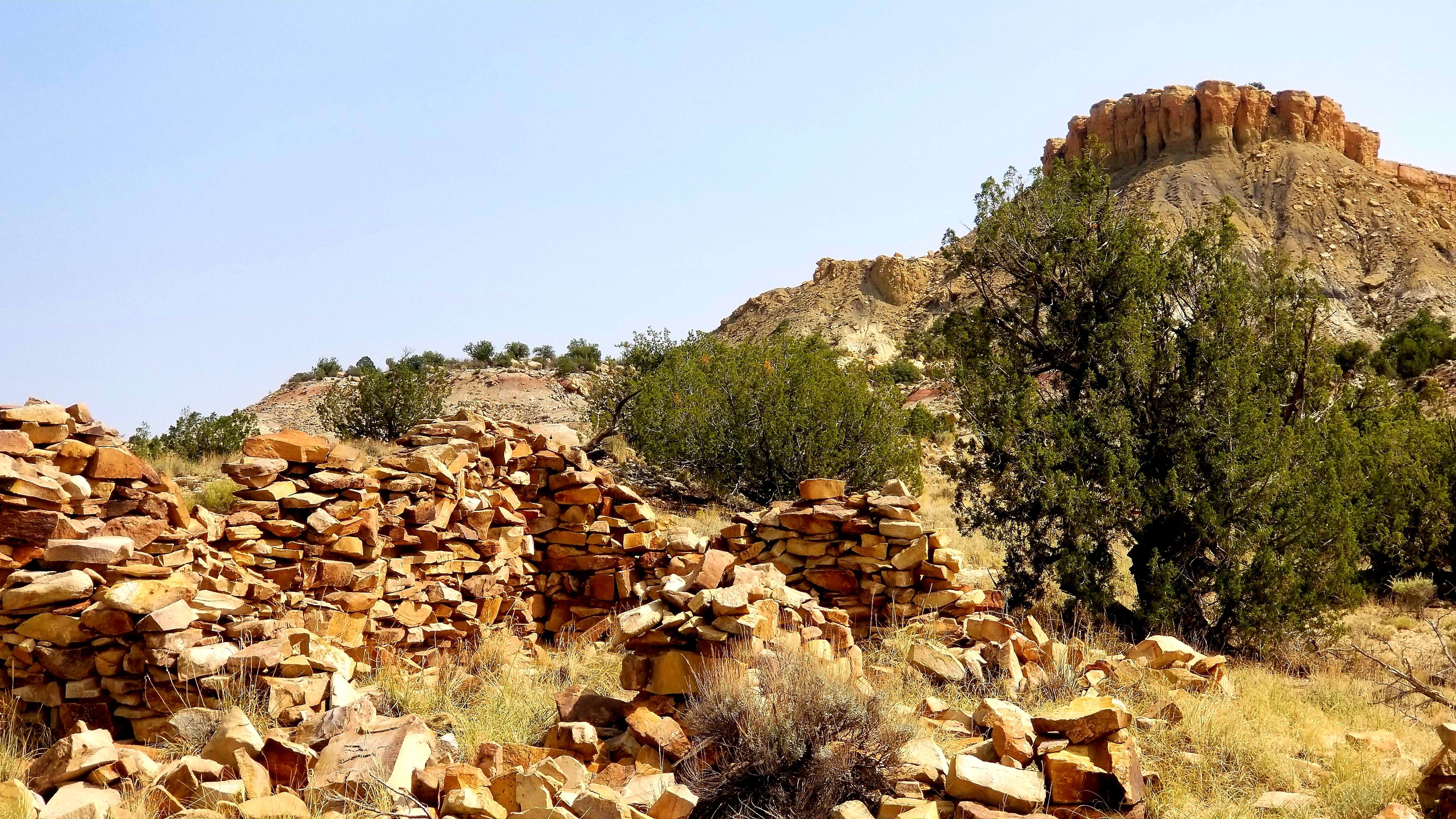 Camper-submitted photo at Ojito Wilderness near San Mateo, NM