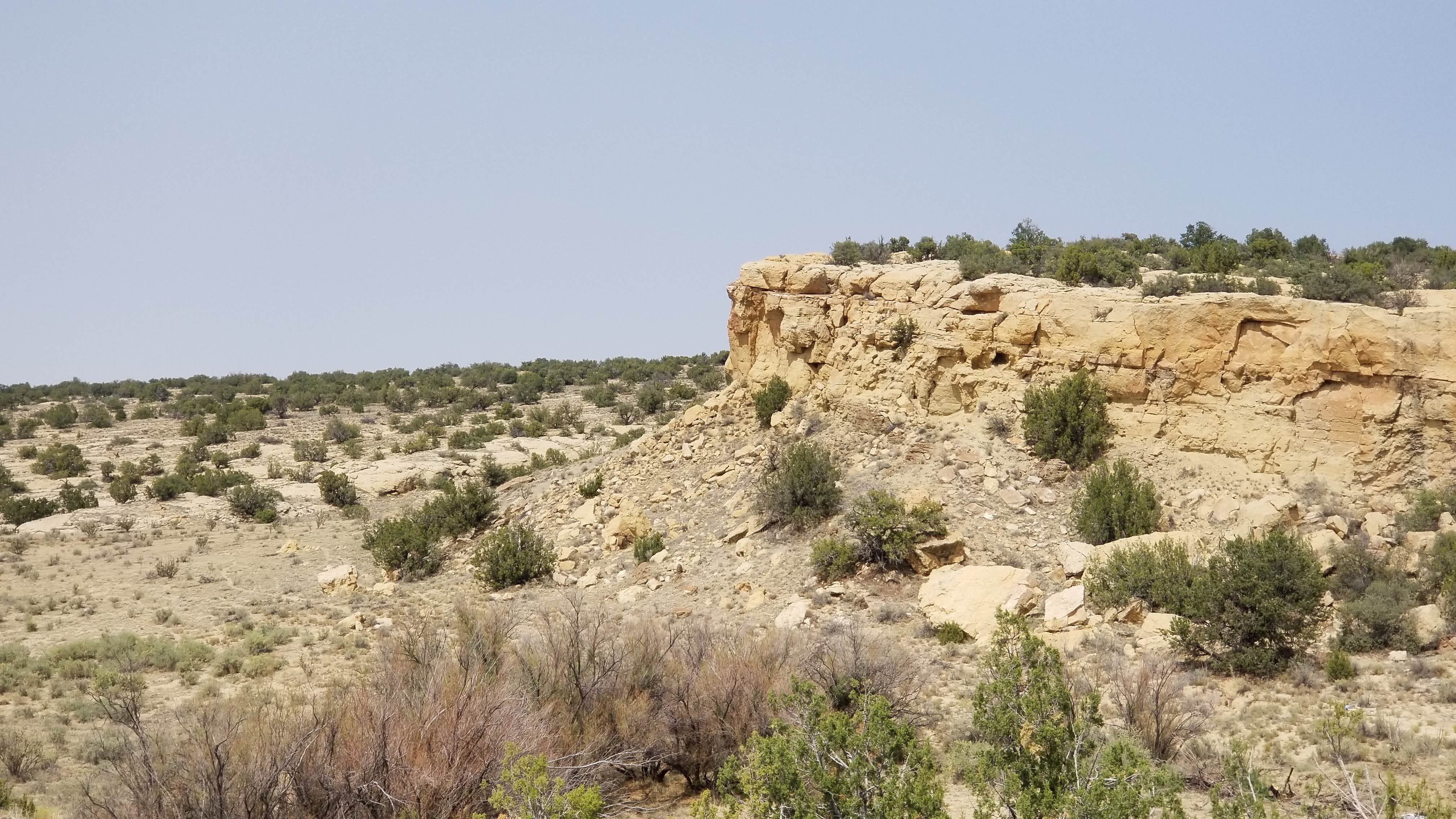 Camper-submitted photo at Ojito Wilderness near San Mateo, NM