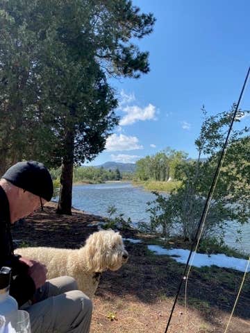 Rebeca H.'s photo of camping with pets at South Fork Campground near Rifle, CO