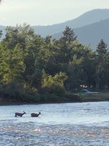 Camper submitted image from South Fork Campground - 3