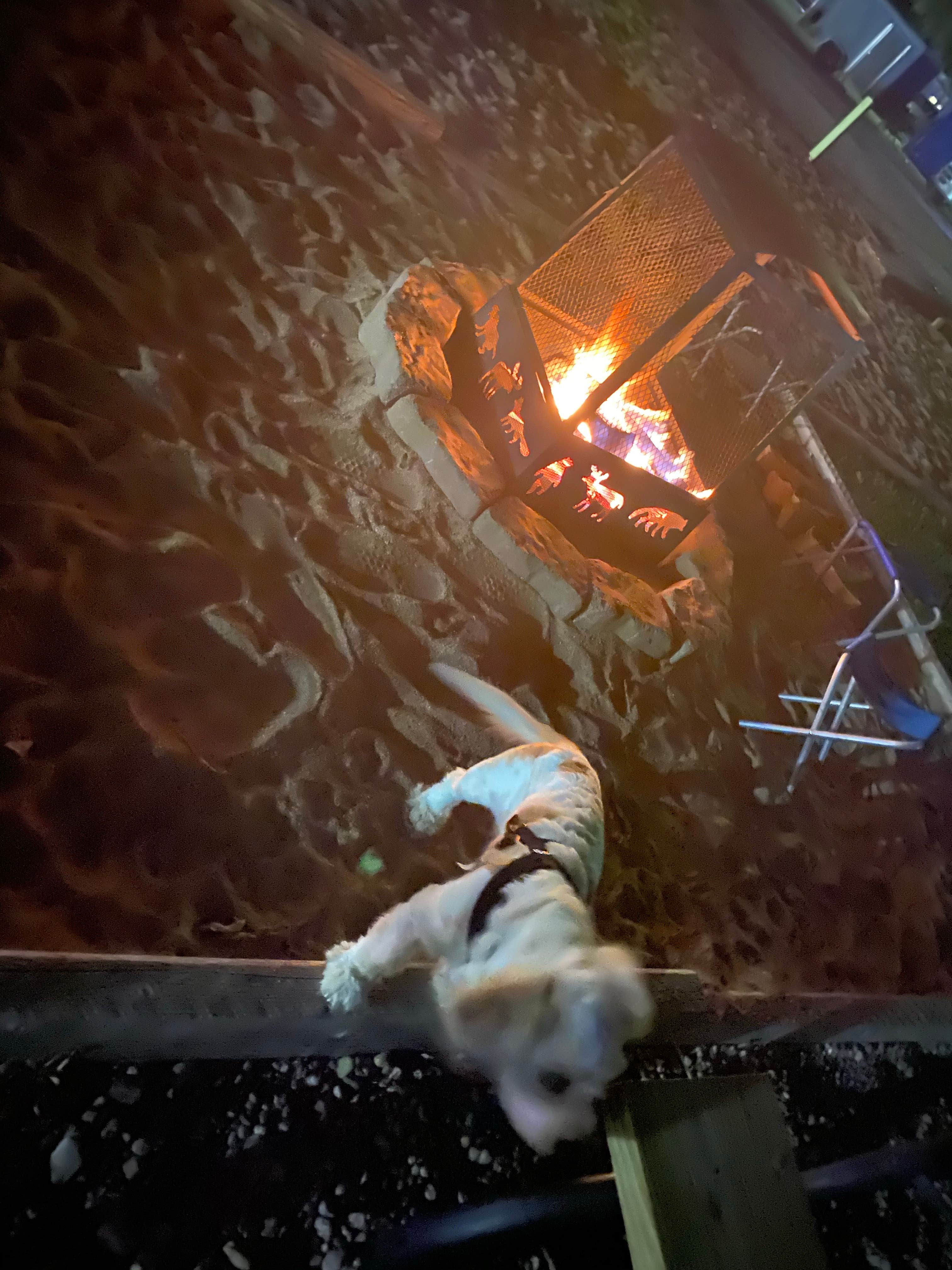 Jamee N.'s photo of camping with pets at Ogallala/I-80 KOA Journey in Nebraska