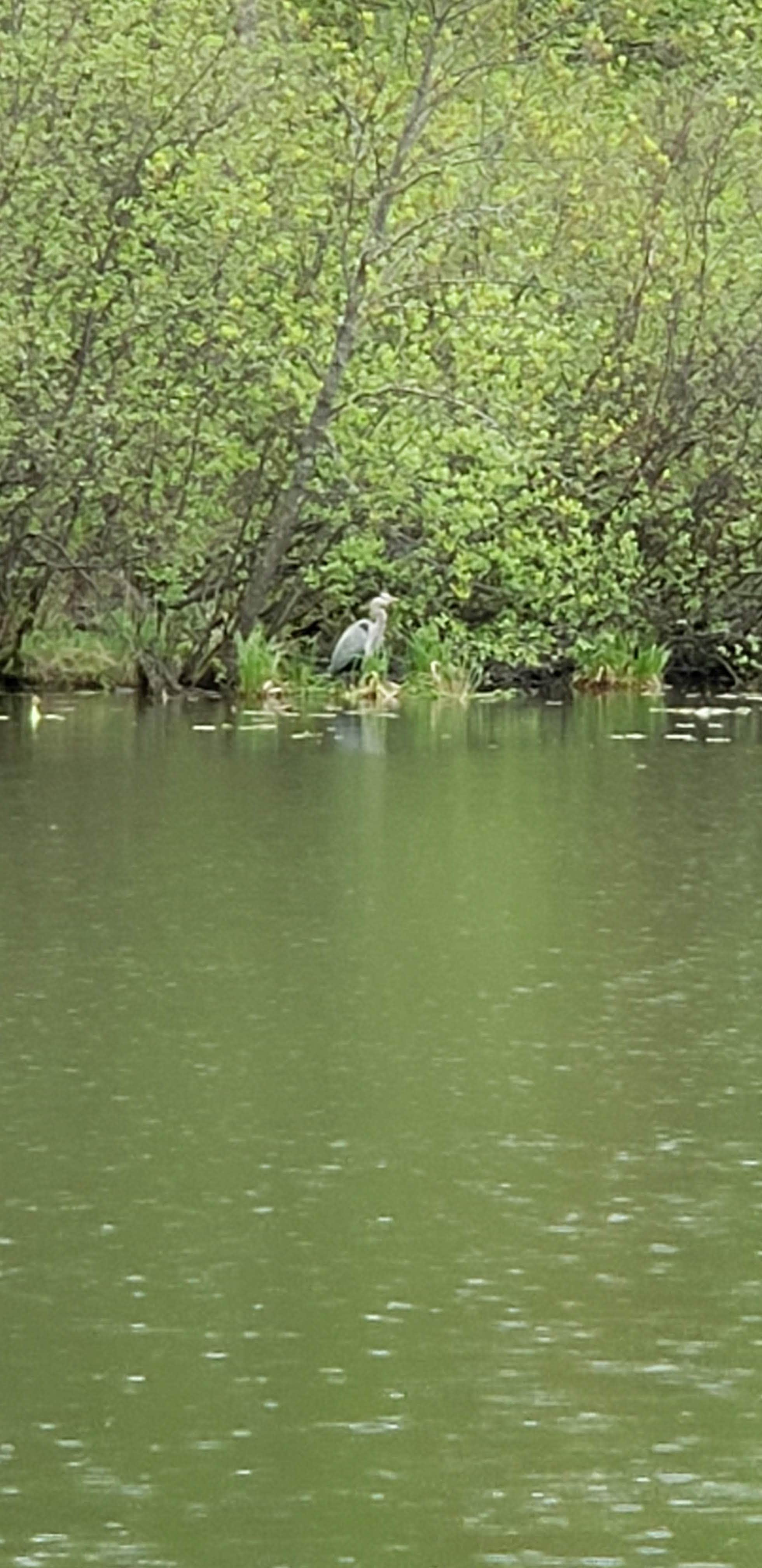 Camper-submitted photo at Barron County Veterans Memorial Park near Rice Lake, WI