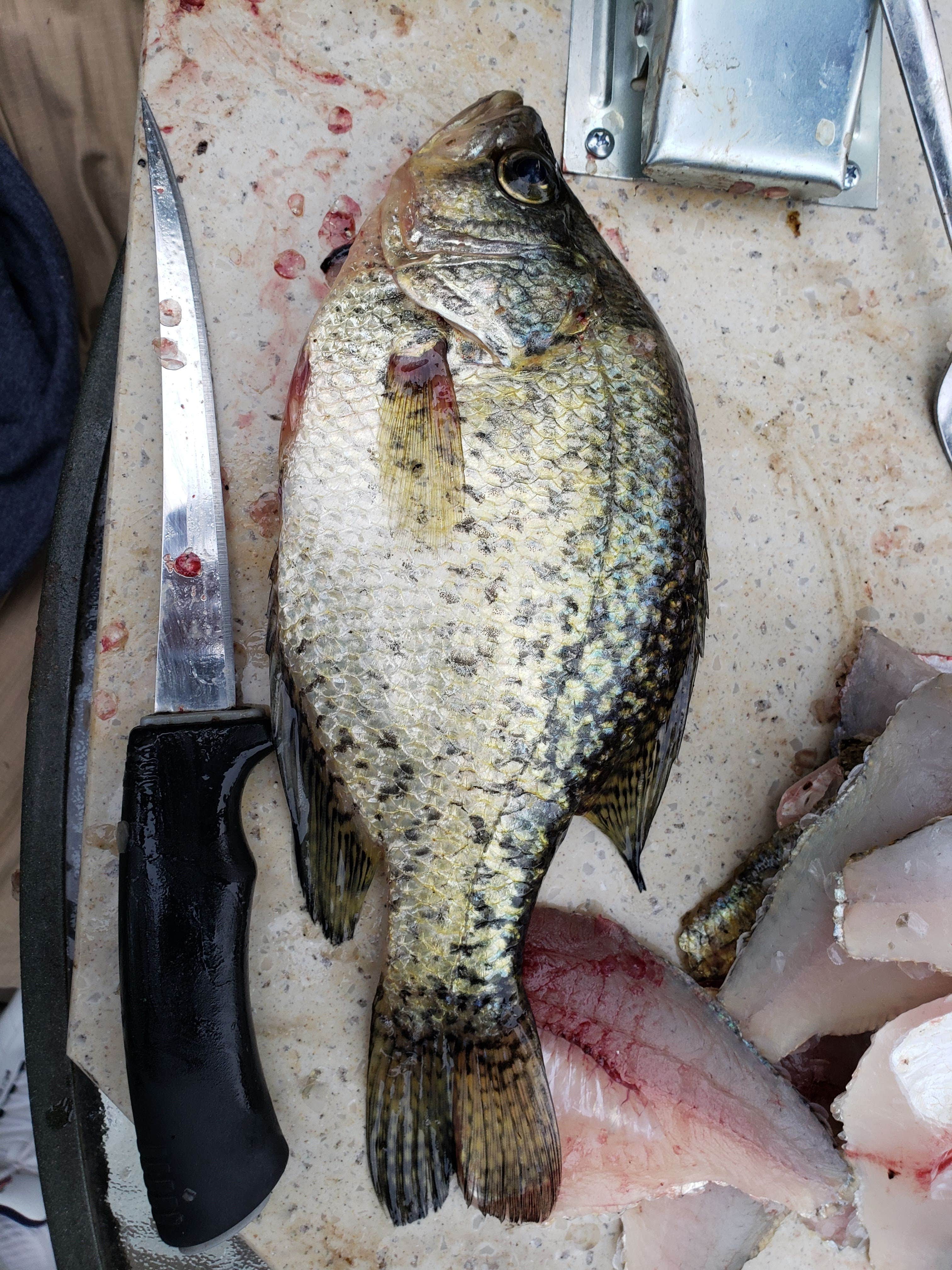 Camper-submitted photo at Barron County Veterans Memorial Park near Rice Lake, WI