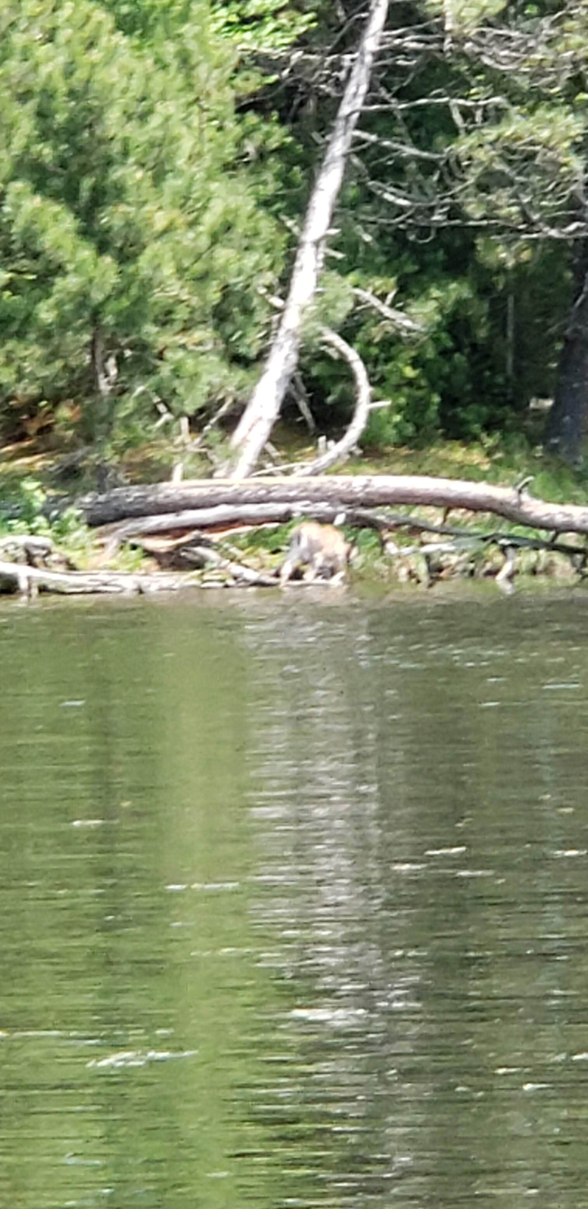 Camper-submitted photo at Barron County Veterans Memorial Park near Rice Lake, WI