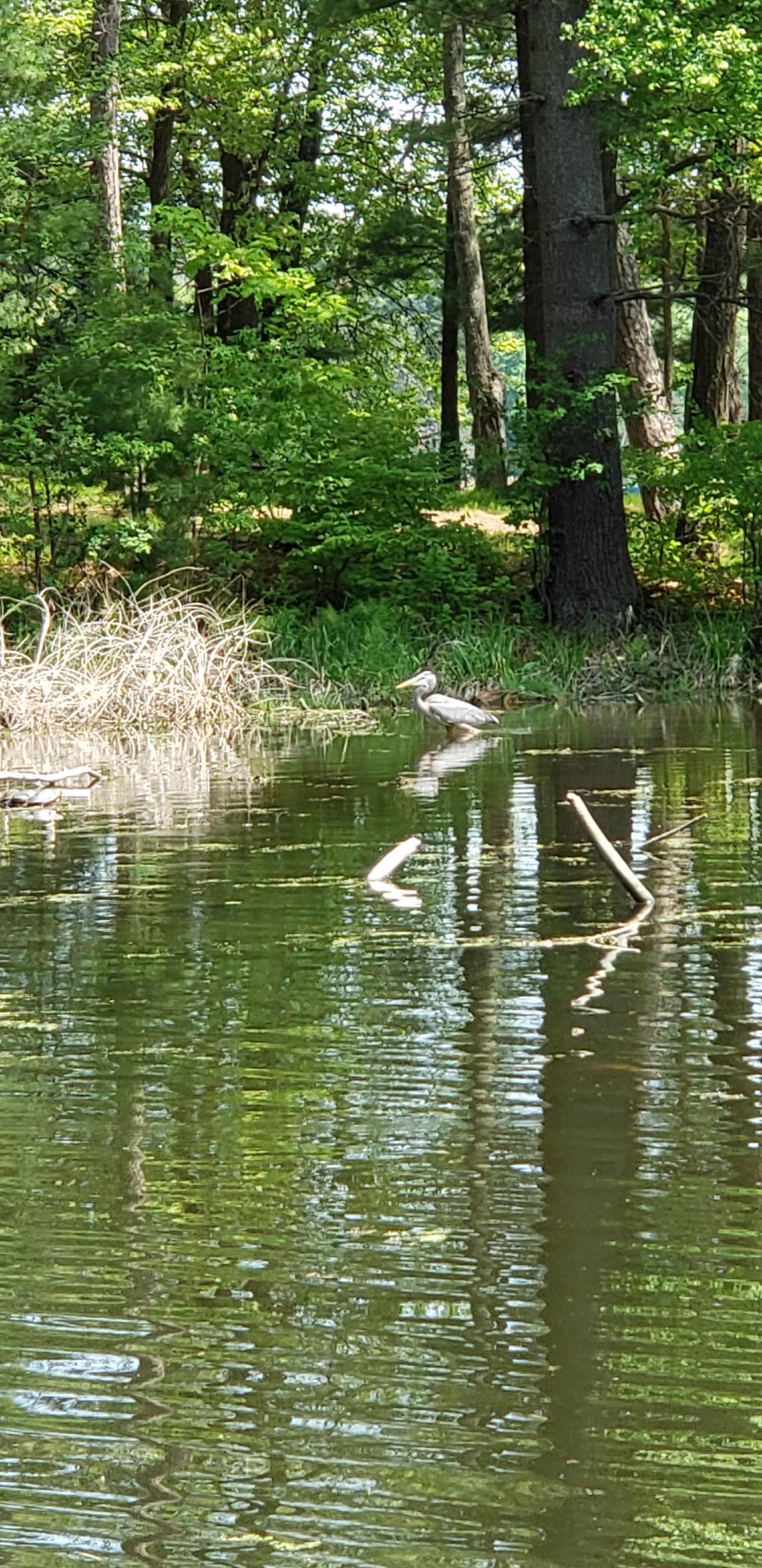 Camper-submitted photo at Barron County Veterans Memorial Park near Rice Lake, WI