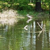 Review photo of Barron County Veterans Memorial Park by Andrea M., September 18, 2020