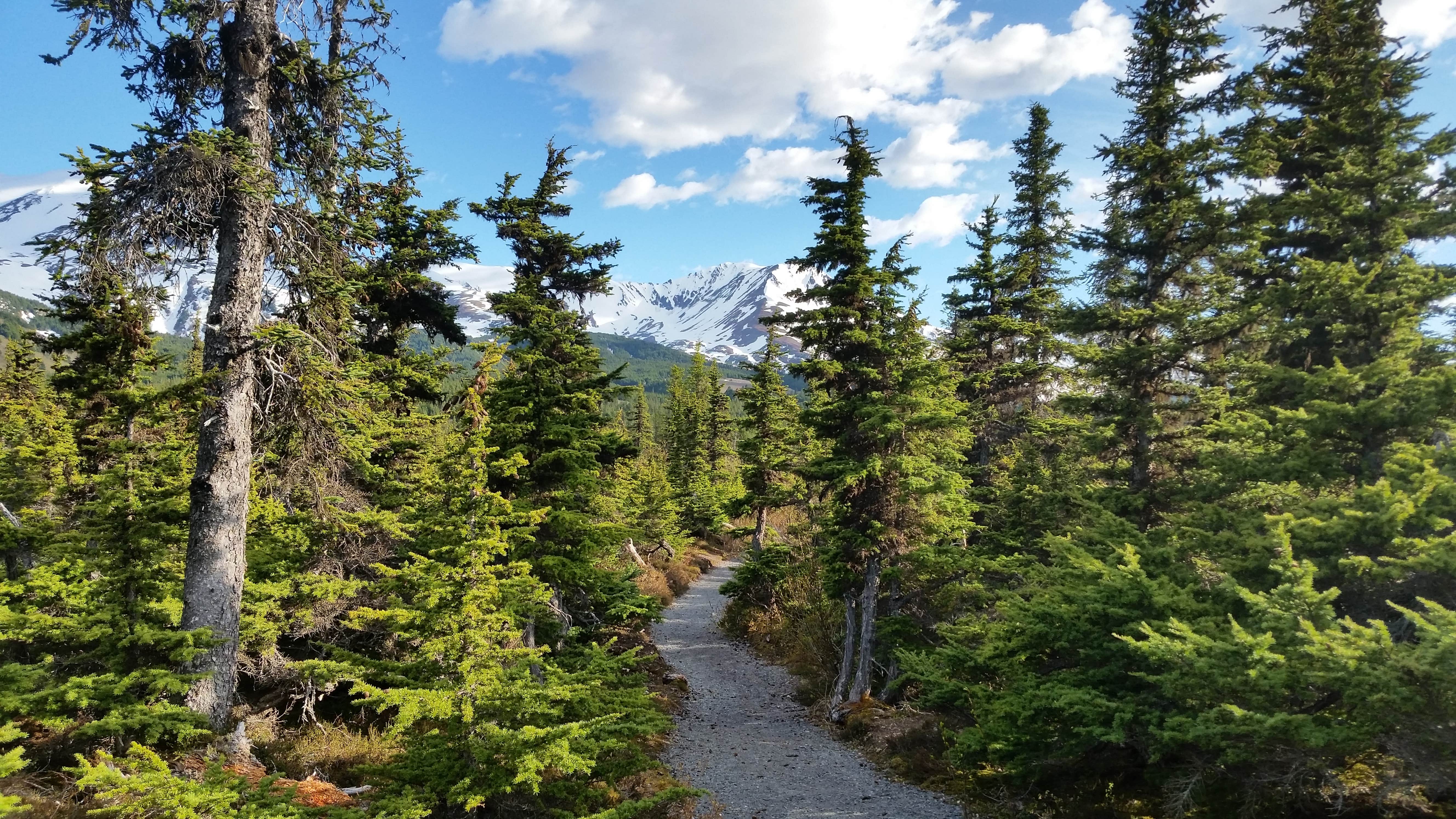 Camper-submitted photo at Gwins Lodge near Moose Pass, AK
