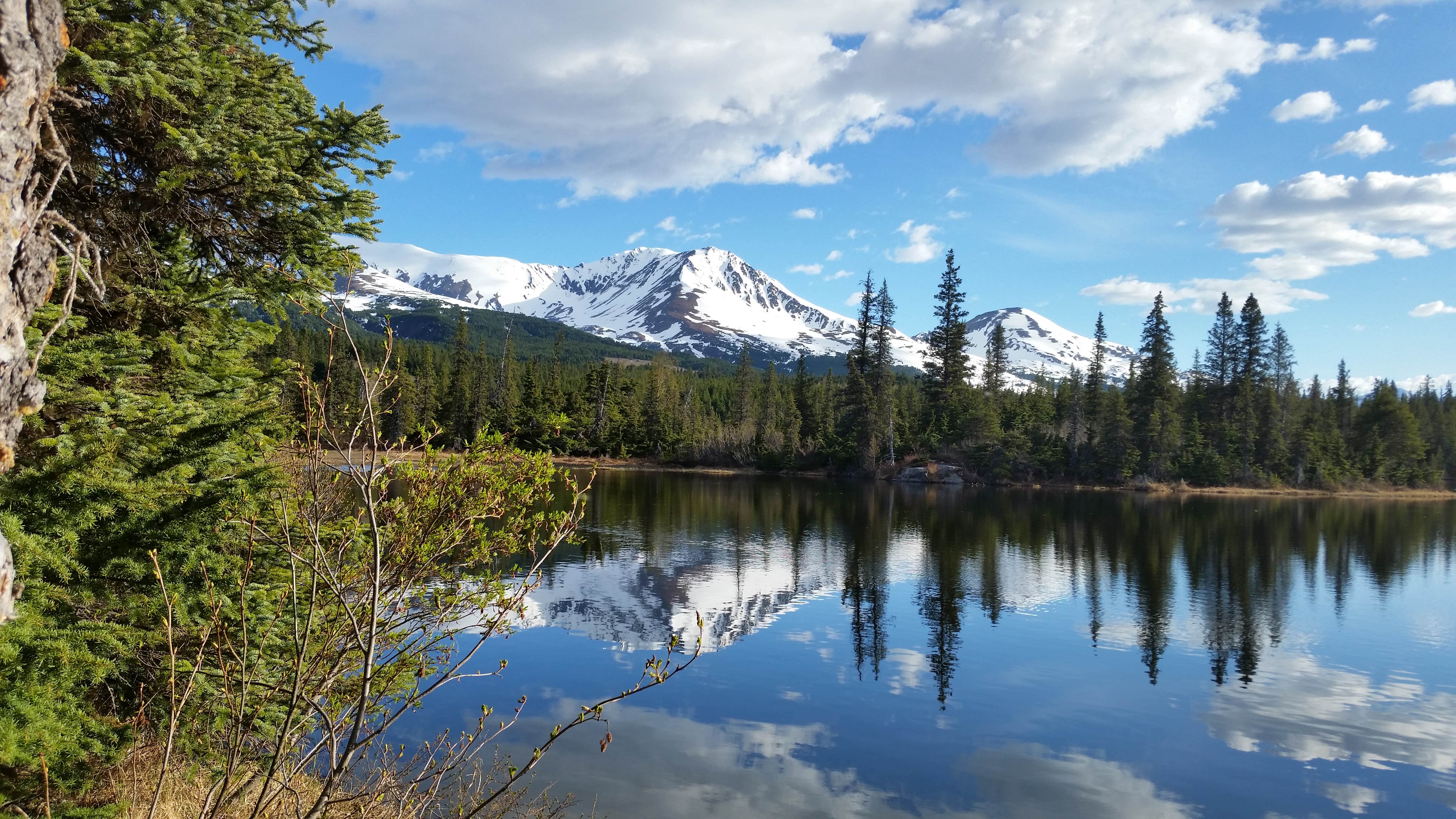 Camper-submitted photo at Gwins Lodge near Moose Pass, AK