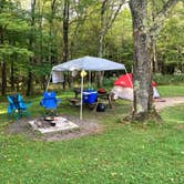 Review photo of Blackwater Falls State Park Campground by Dan , September 18, 2020