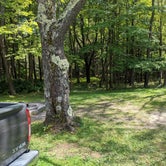 Review photo of Blackwater Falls State Park Campground by Dan , September 18, 2020