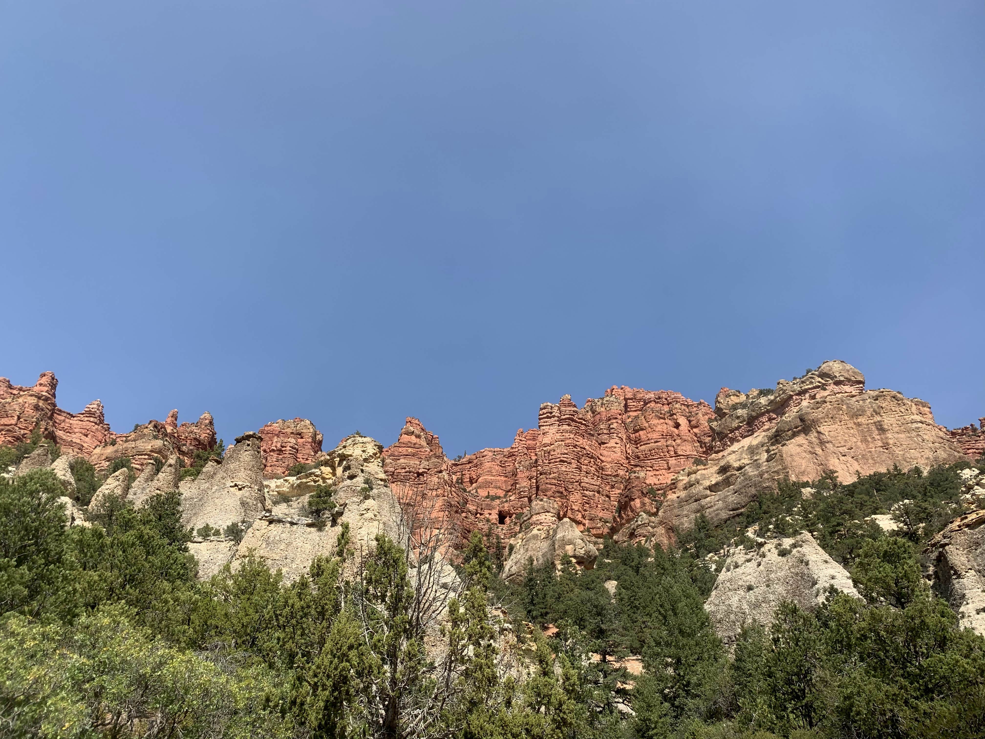 Camper-submitted photo at Yankee Designated Dispersed Camping Area near Parowan, UT