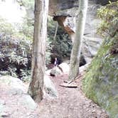 Review photo of Coopers Rock State Forest by Lindsay W., May 17, 2018