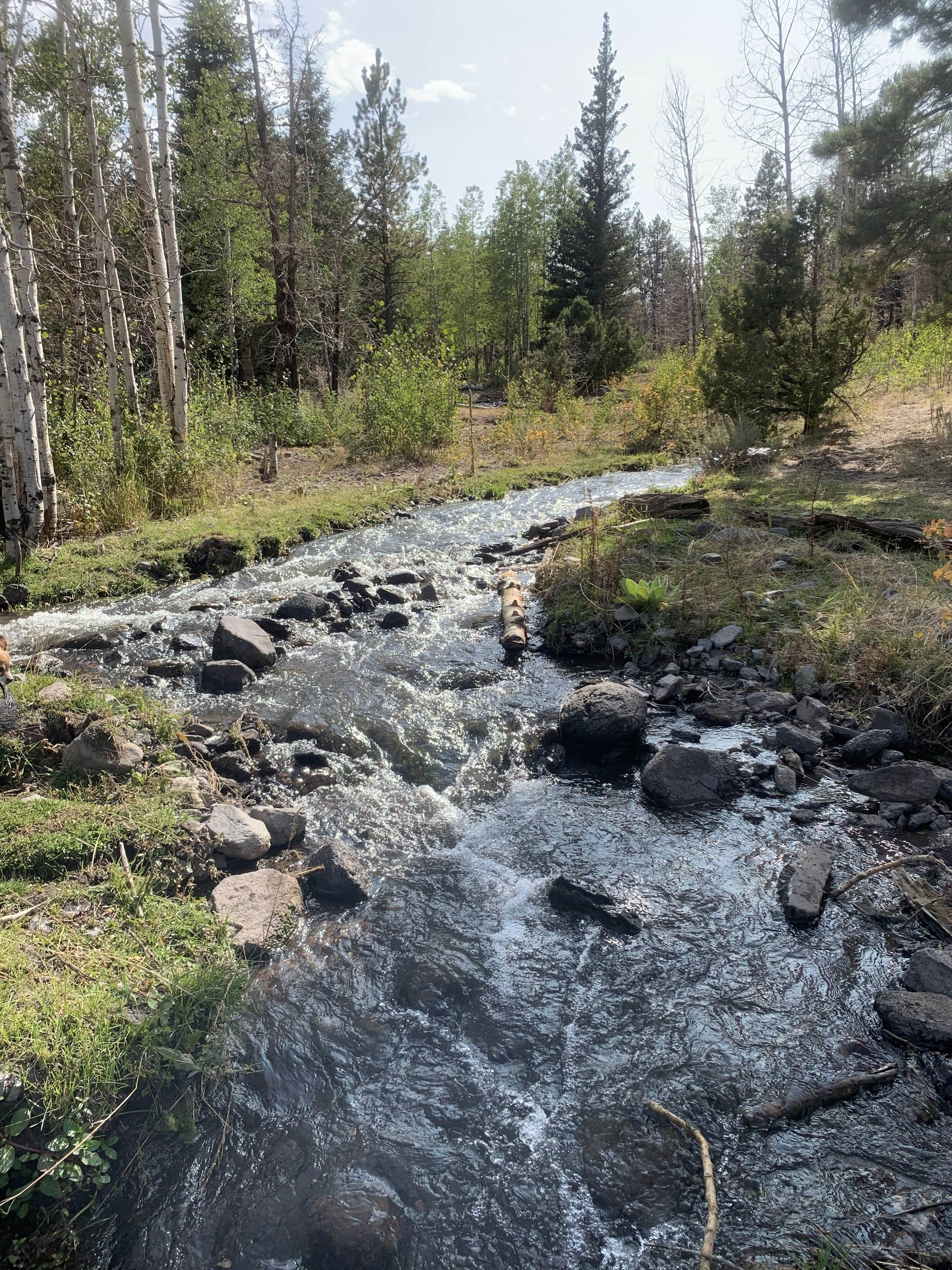 Camper-submitted photo at Yankee Designated Dispersed Camping Area near Parowan, UT