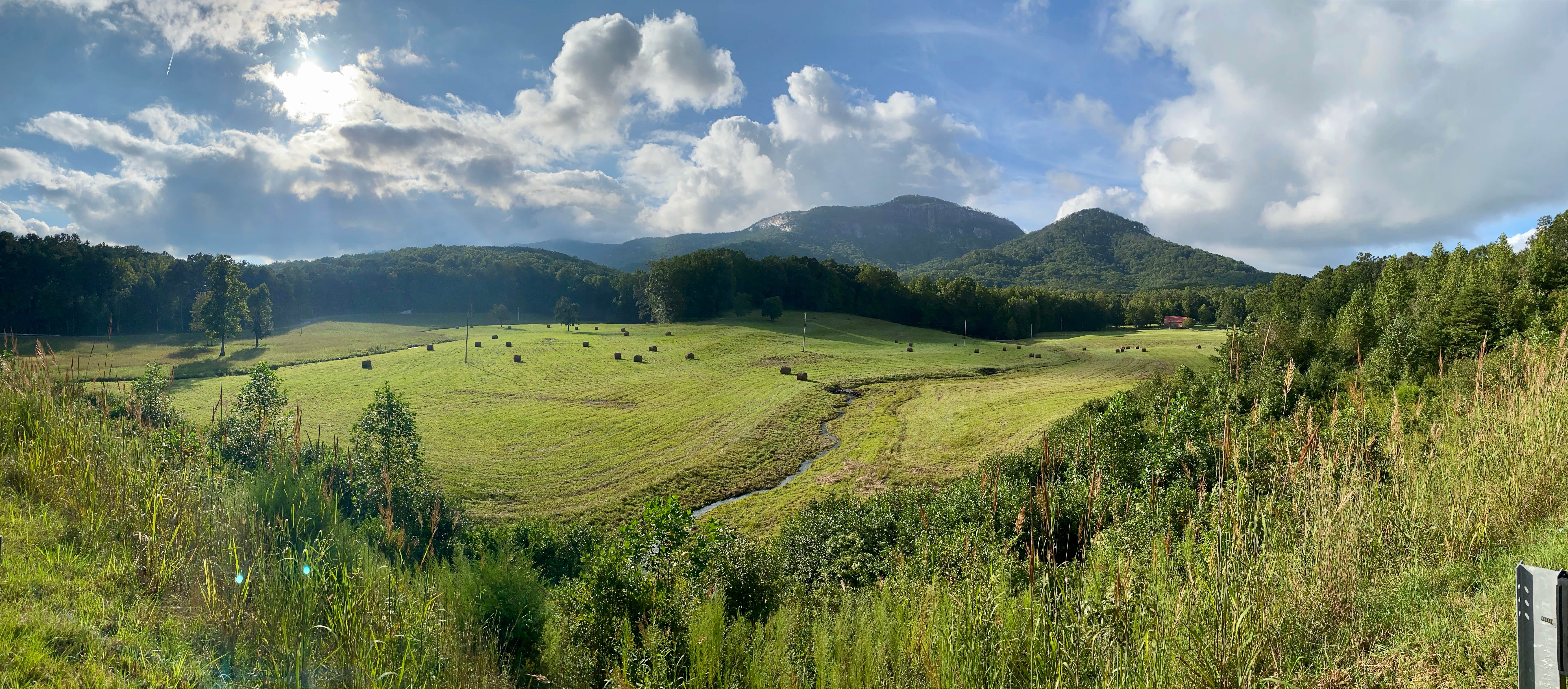 View All