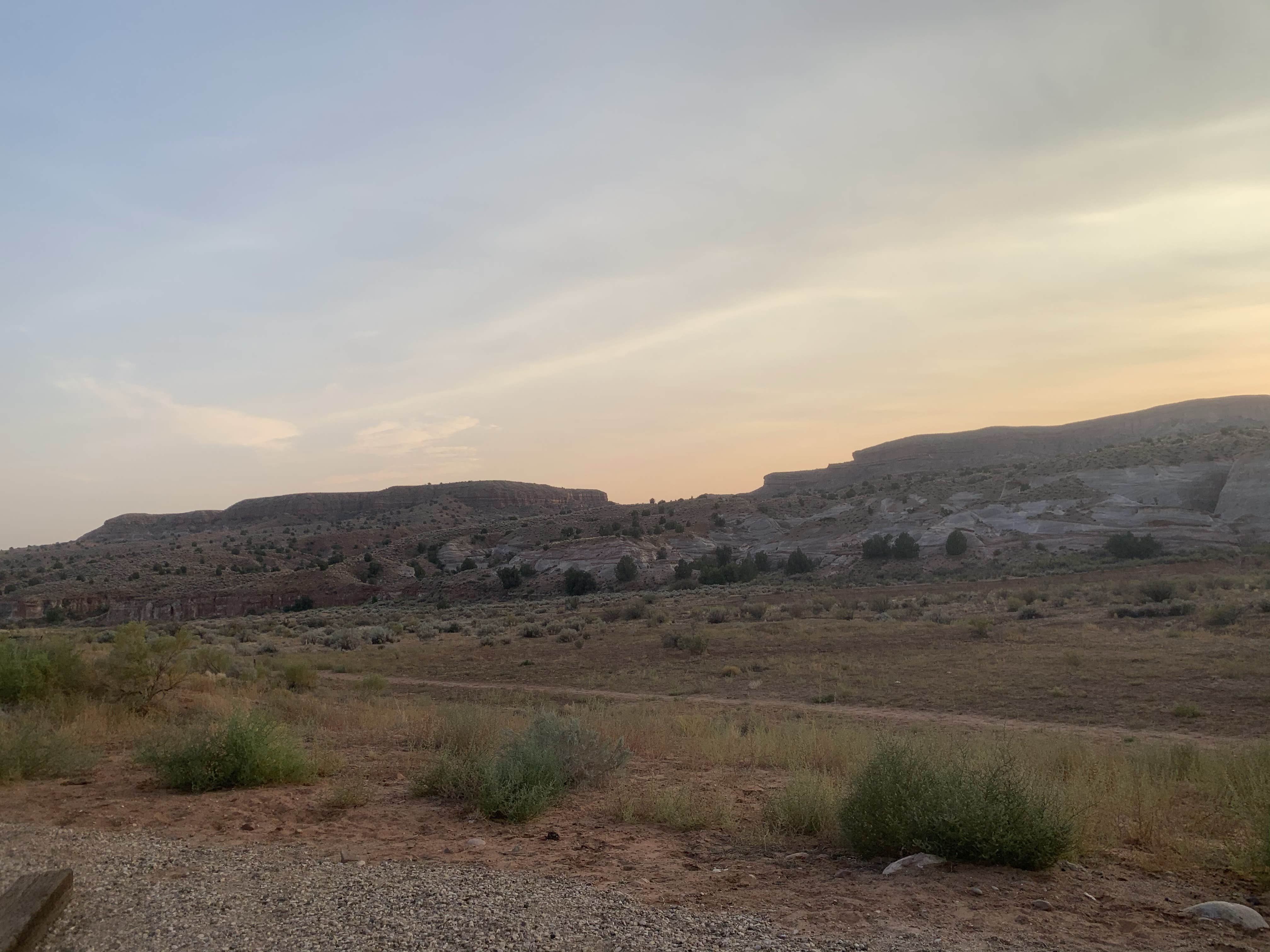 View All