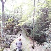 Review photo of Coopers Rock State Forest by Lindsay W., May 17, 2018