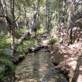 Review photo of Reyes Creek Campground by Tammy C., September 18, 2020