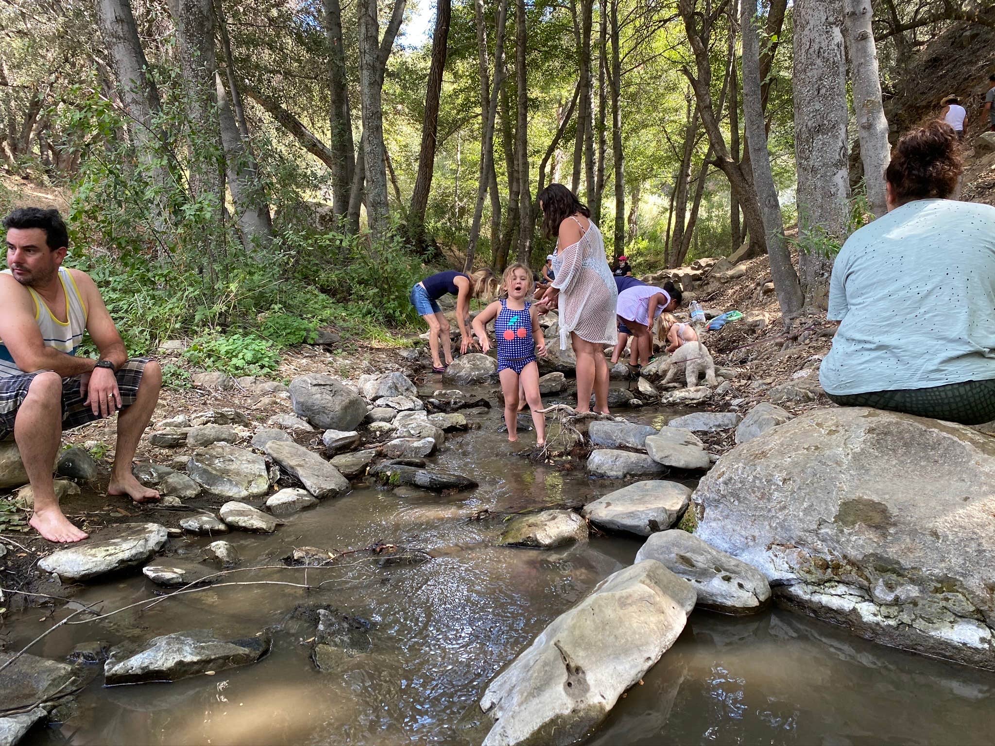 Camper submitted image from Reyes Creek Campground - 3